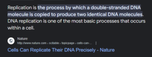 Replication process